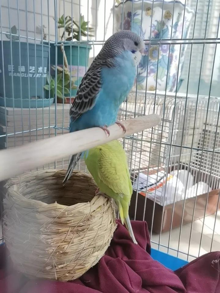 就是想要的太多，却得不到满足！
没事就看看动物世界，
实在不行看看家里的宠物，