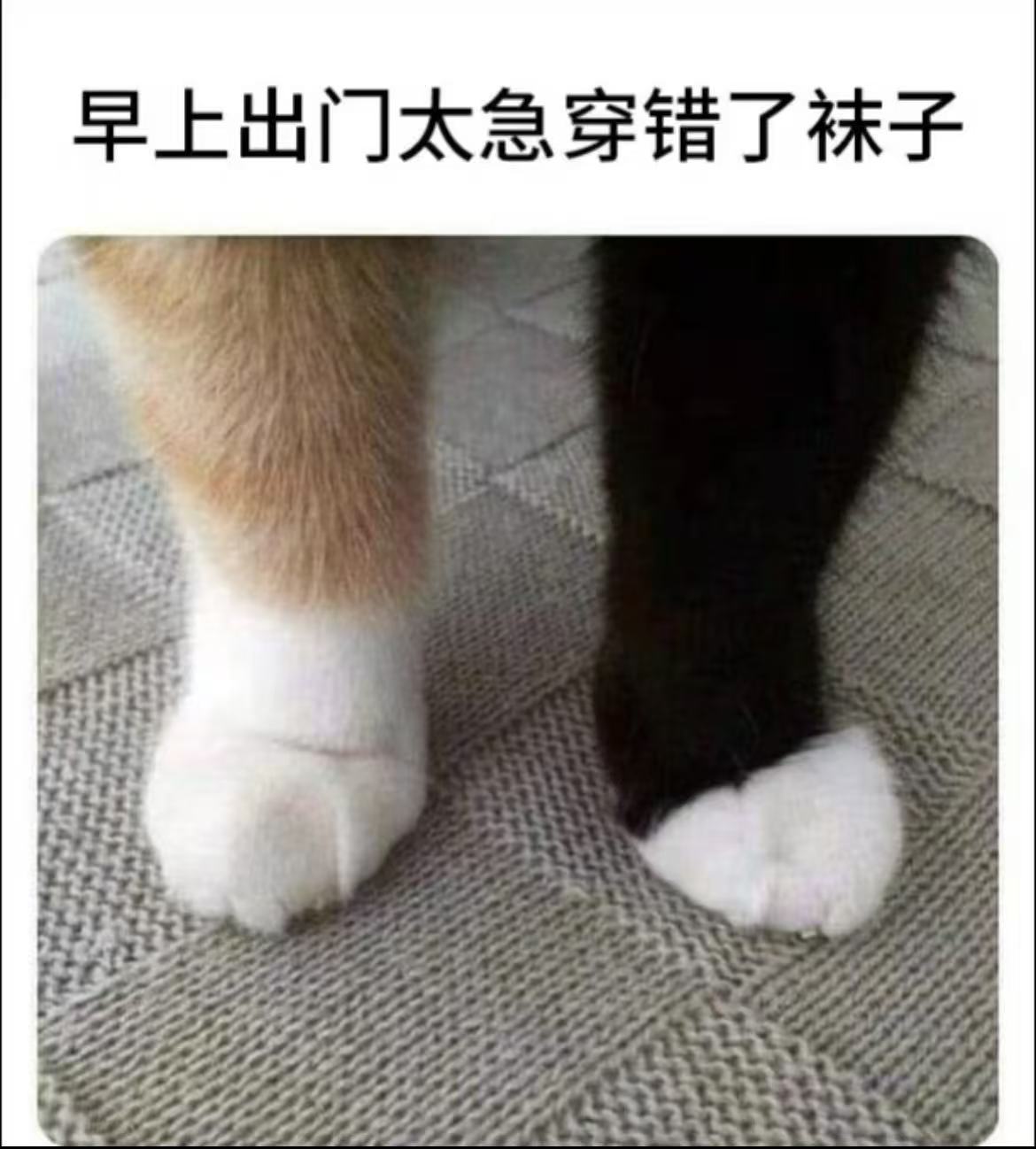 哎呀 ​​​