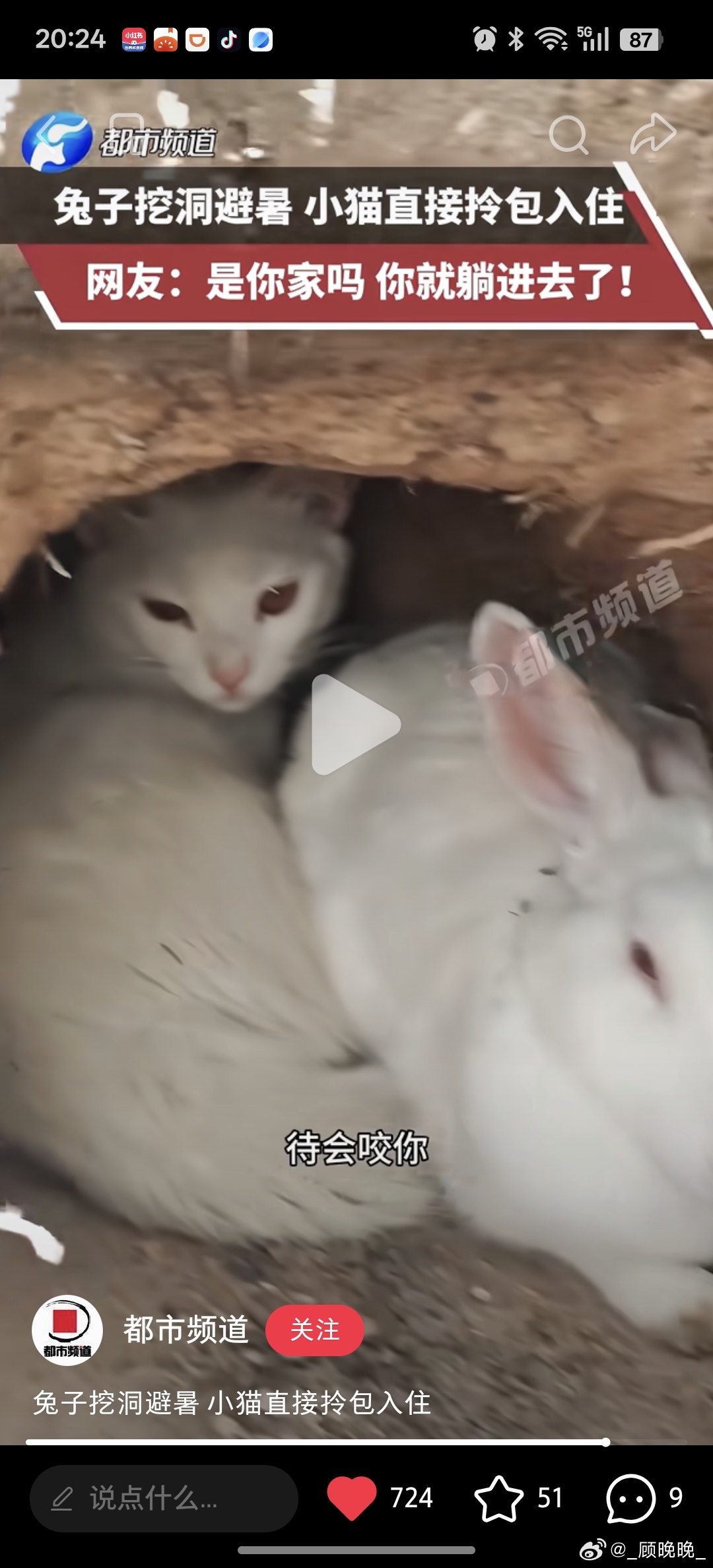 妯娌 