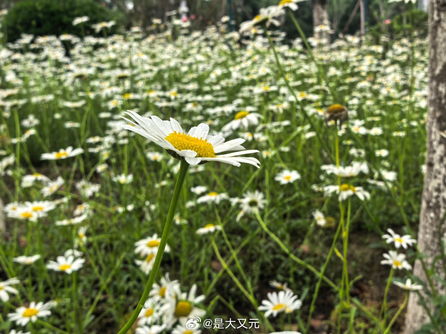 早上好！