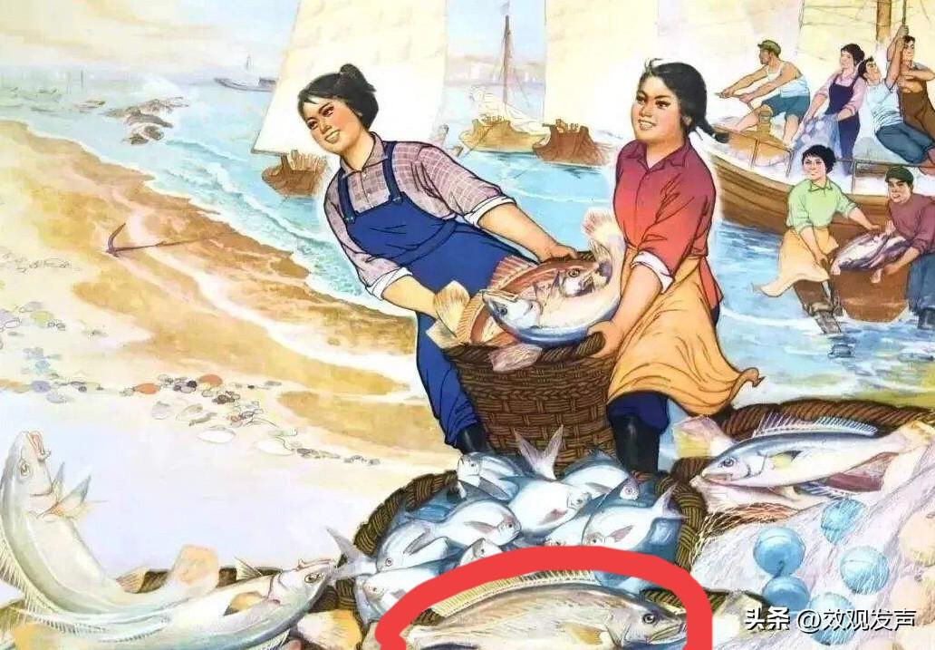 七十年代这张宣传画上的鲳鱼和马鲛鱼，在那时就跟现在市场上的鲫鱼、草鱼一样常见。听