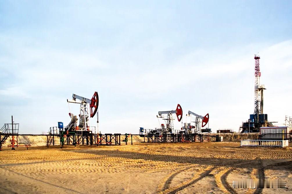 摒弃霸权，多极化是时代必然

当下国际格局正经历百年未有之大变局，单边霸权与多边