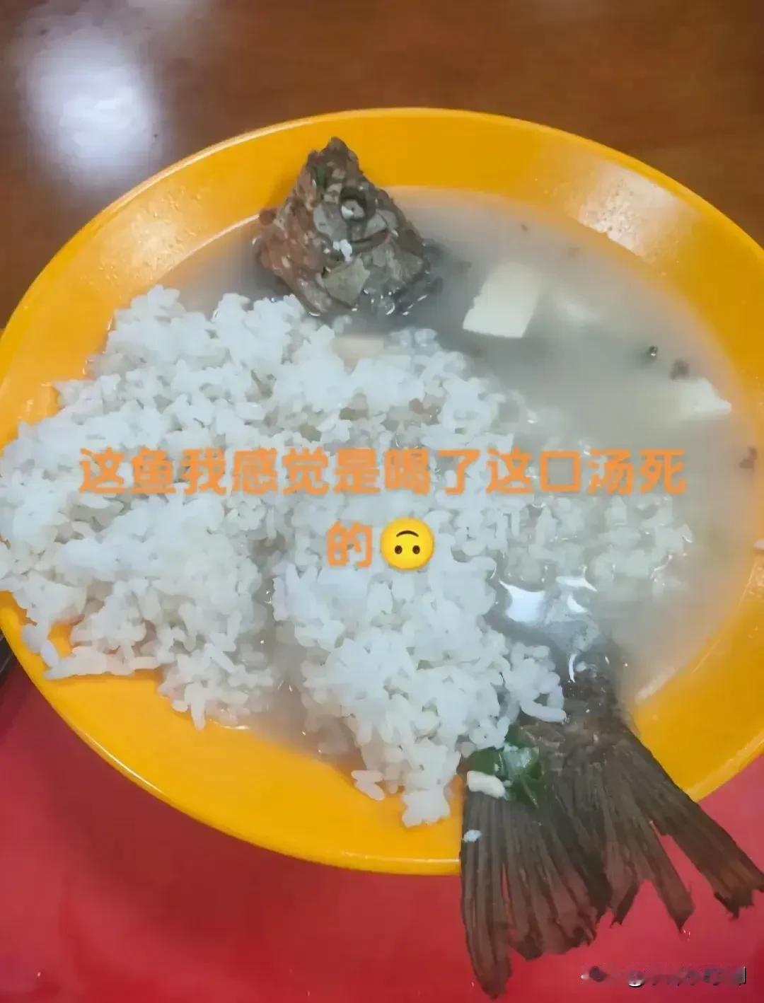 黑暗料理鲫鱼豆腐饭，让人想起阅读理解鱼眼里闪着诡异的光#鱼怎么做好吃？# #黑暗