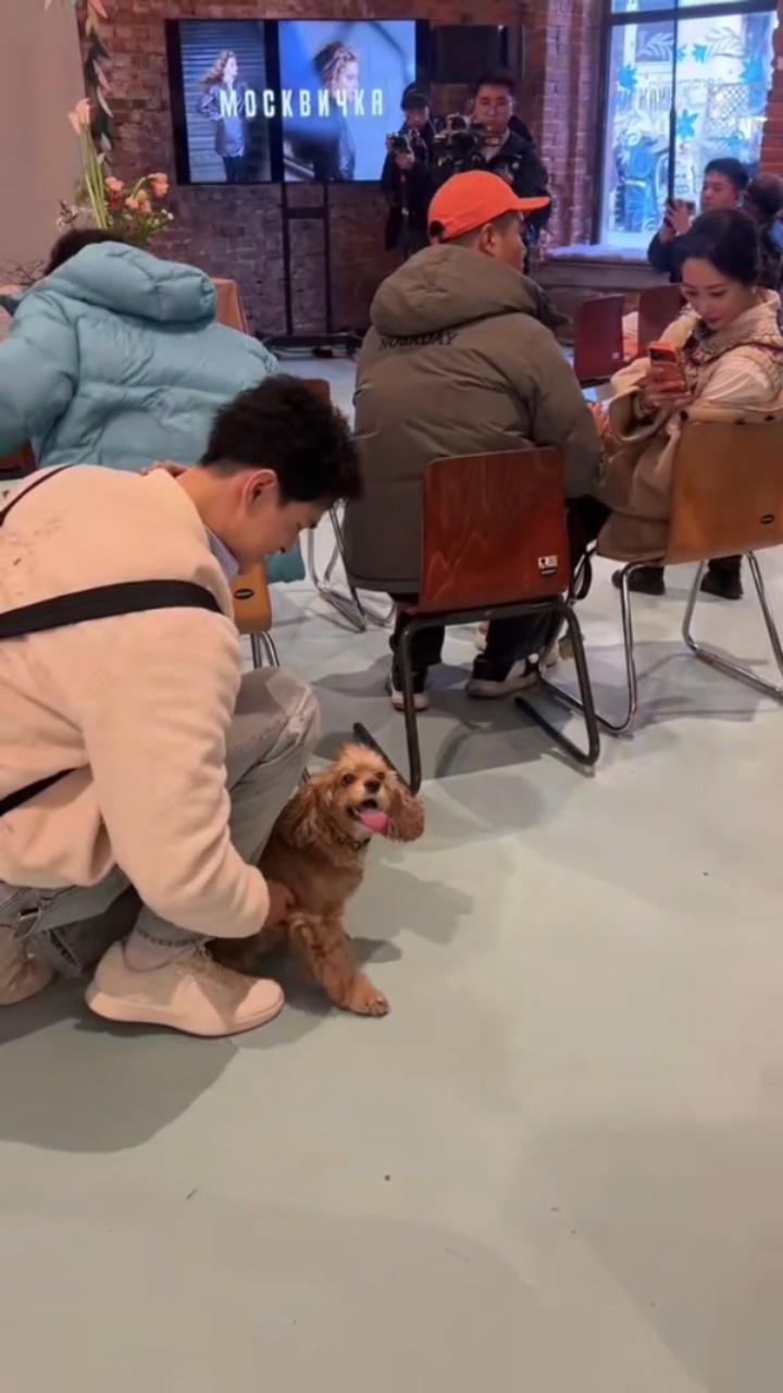 SWim进行时 『9984』20260315 圣彼得堡偶遇大金毛摸小狗🐶cr?