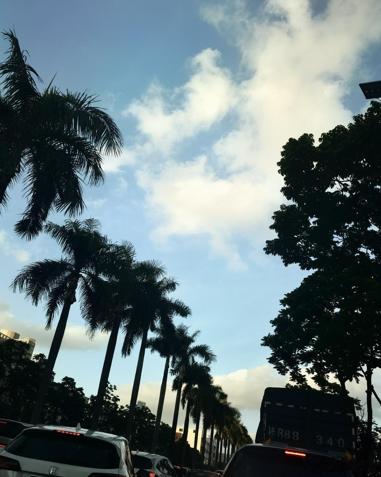 天天开车出门的司机大佬们，平时开车真的要多留心一点，安全是最重要的，路上碰到泥头