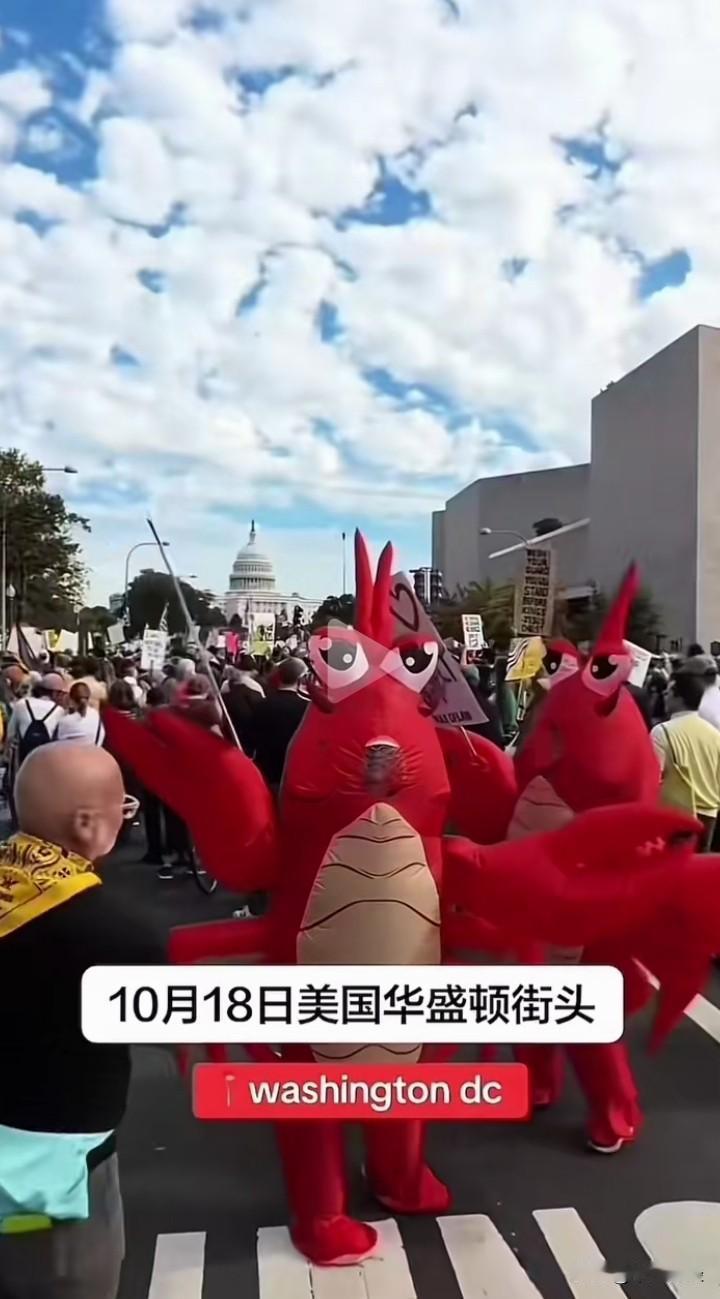 【惊讶！】700万人大规模的游行，震惊了美国，也让世界看到了美国游行的威力和背后