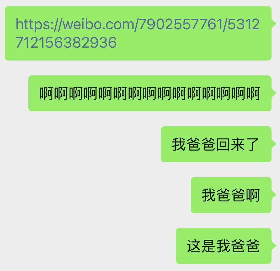 构建我掏粪世界观的爸爸回来了。 