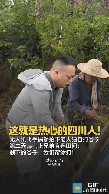 破防了。一男子飞无人机时，无意间拍到一位老人独自在田里打谷子，看上去吃力又心酸，
