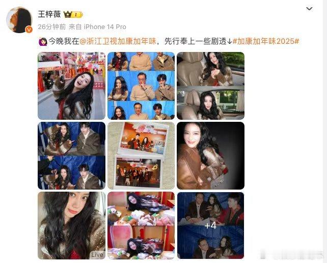 尔冬升模仿向佐  综艺节目中，尔冬升导演的模仿技能让人惊艳。他的向佐手势，让现场