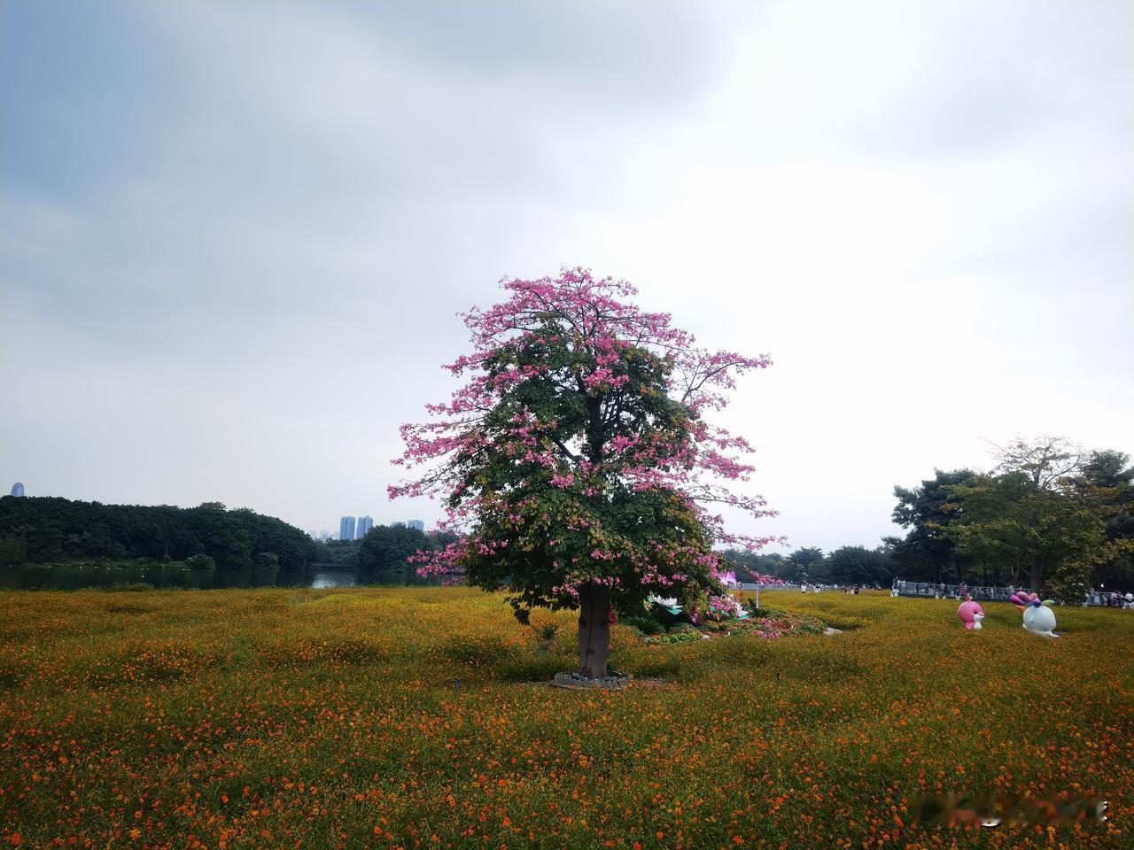 广州 广州海珠湖