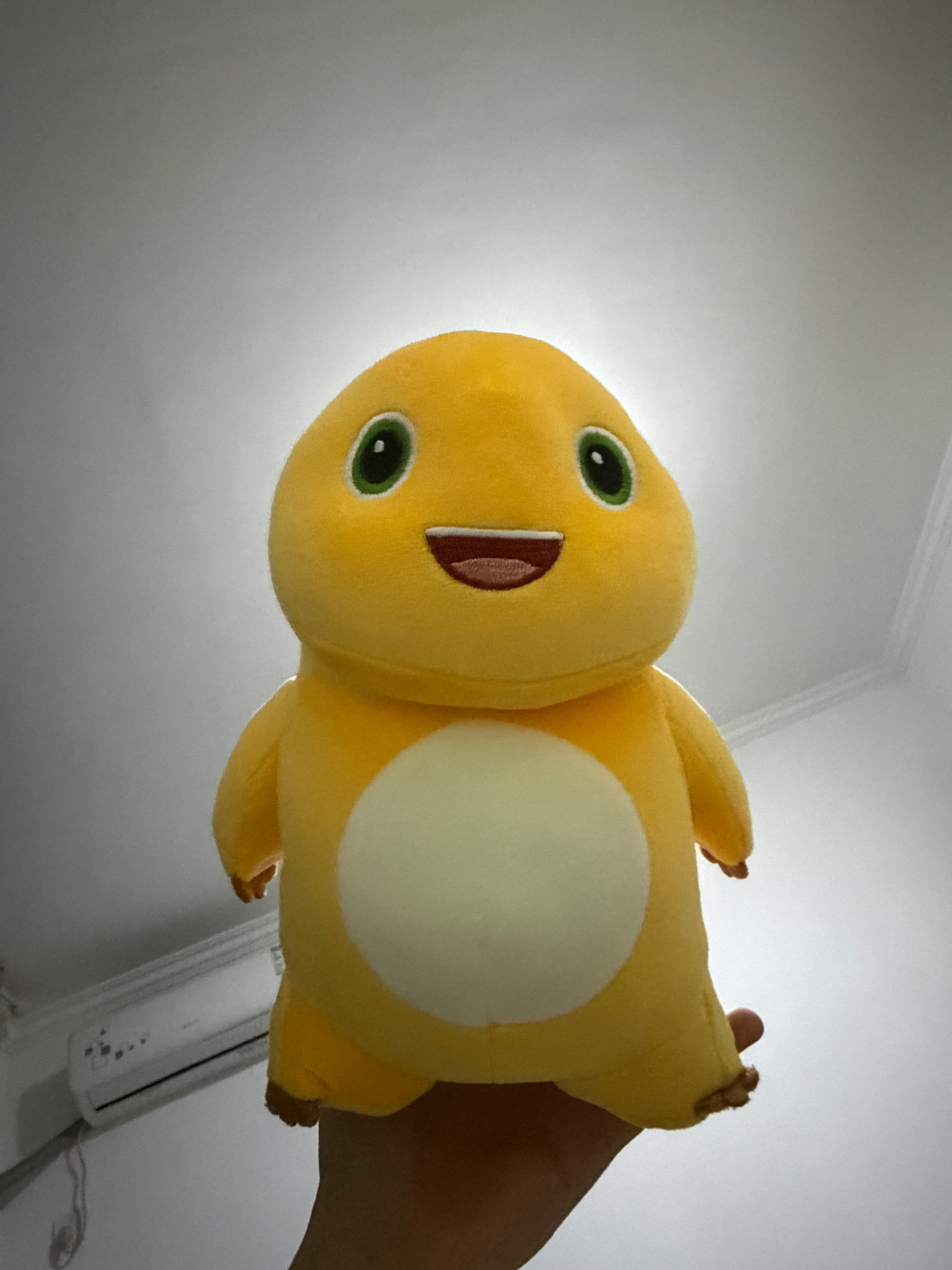 我的背面我的侧面我的正面都来膜拜本奶龙大王吧 