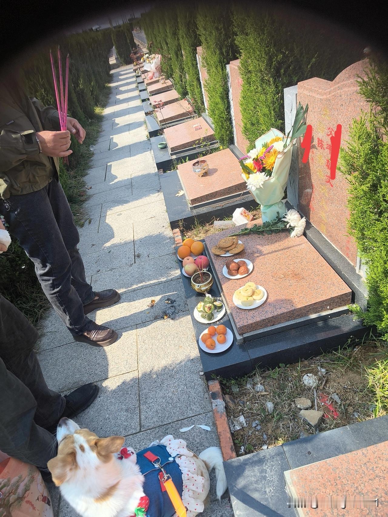 找不到母亲的墓碑，着实令人难以置信！

    老岳父已91岁高龄，岳母在疫情前