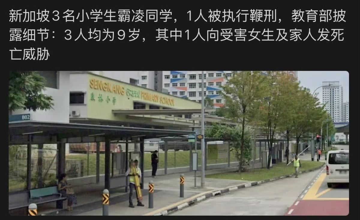 对于校园霸凌，新加坡直接鞭刑伺候，压根不惯着。首先学校会去查证，确实是霸凌，根据