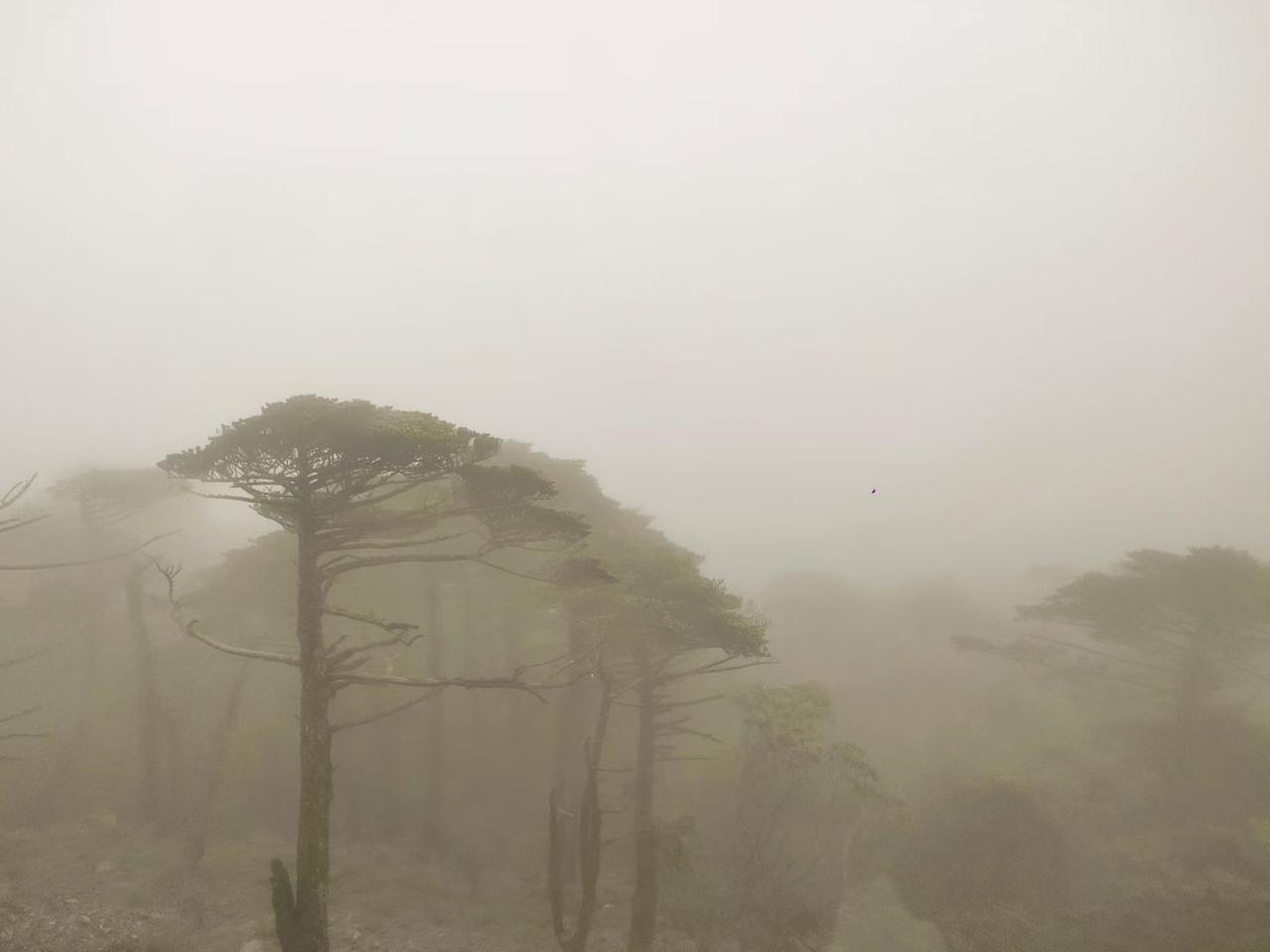 今日苍山