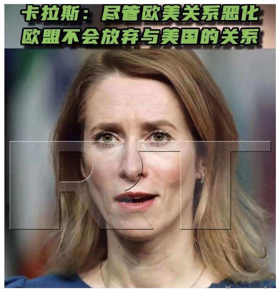 1月14日，正在德国进行访问的欧盟外交与安全政策高级代表卡拉斯在新闻发布会上称，