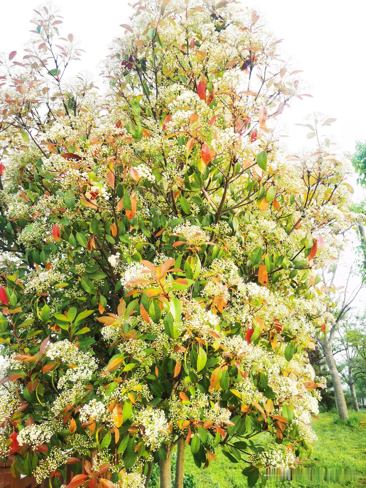 人这一生，真有趣。

不以为然时，意料之外乍起。

全心接纳意料之外时，

偏得