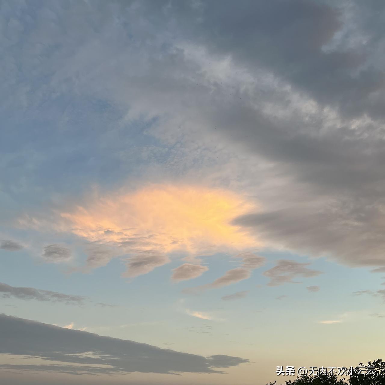 夏日生活打卡季
