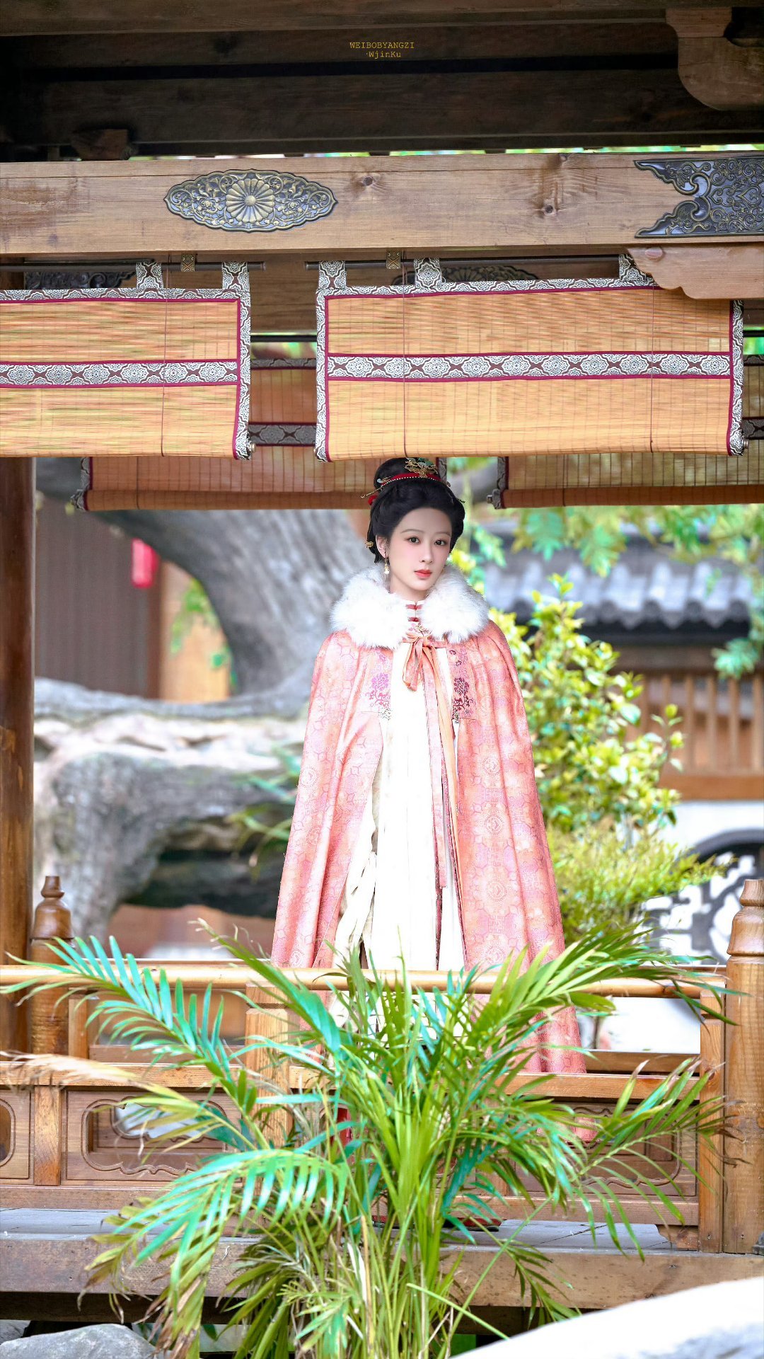 李祯好美 杨紫更美 