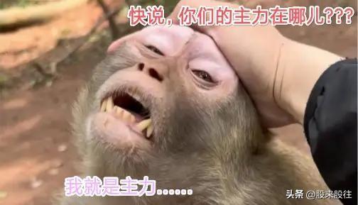 纳尼！
这是什么操作？
四大指数都是收盘最低价！

2万亿的成交量并没有杀出多少