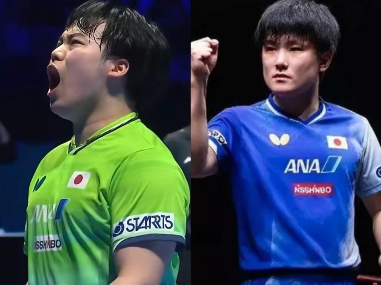 松岛辉空与张本智和最大的区别在哪里？

张本智和属于祖籍在中国的华裔选手，在日本