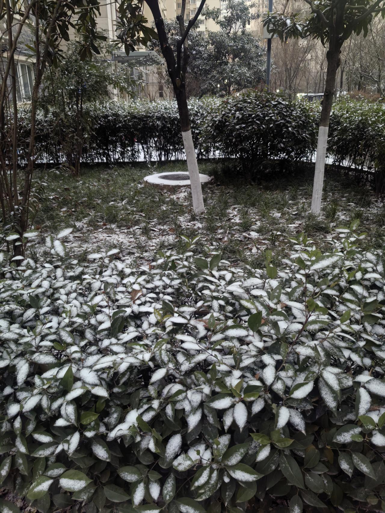 西安终于下雪了。
这场雪等的人好苦啊！
几天前就预报说西安从18日夜间开始有大雪