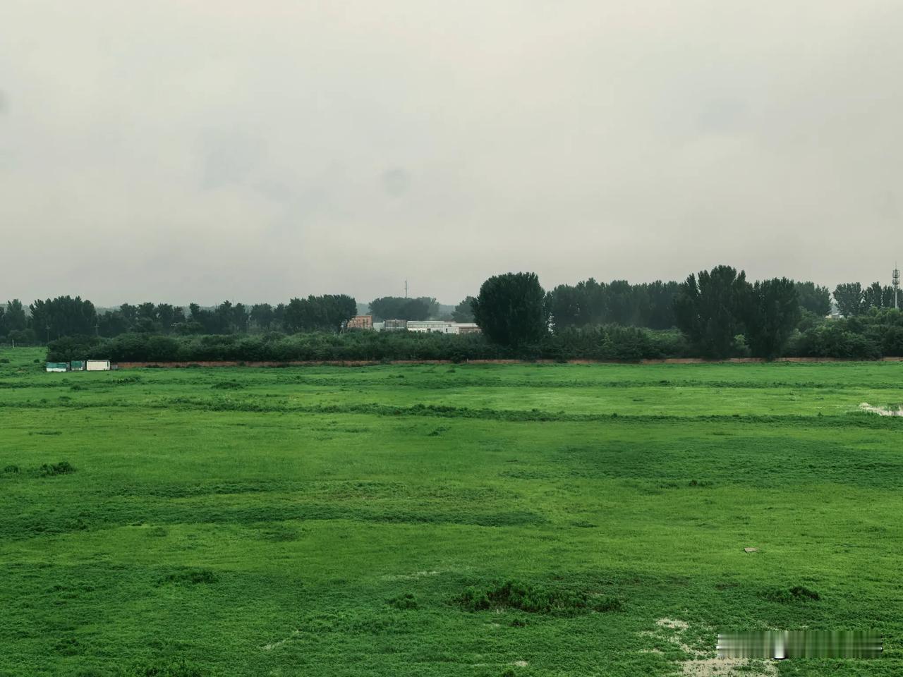 一夜的雨，把窗外的草地下成了水乡泽国，草地上一片片的水洼，蛙鸣阵阵。

住在这里