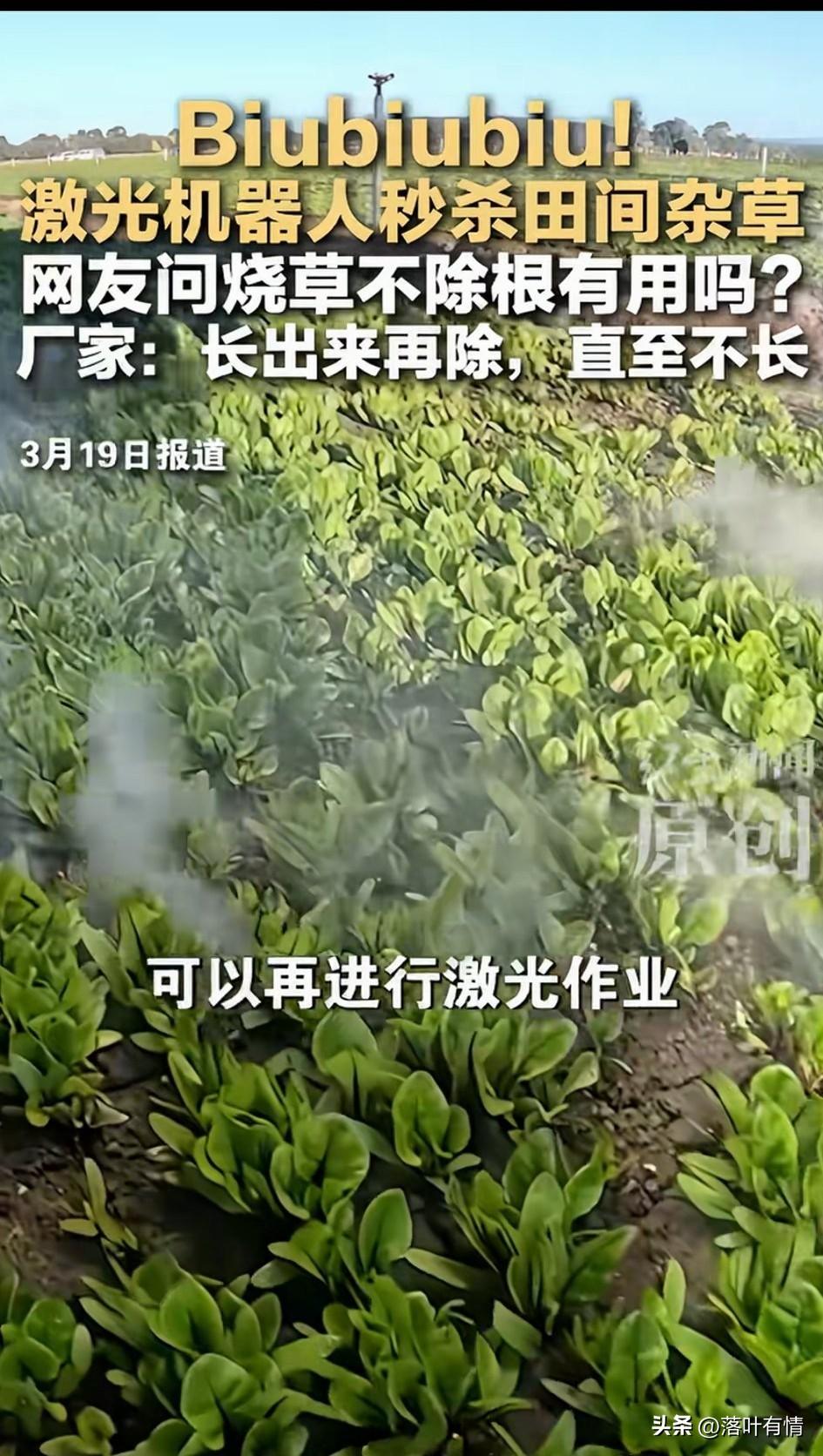 近日，一段机器人激光除草的视频火，
生产的厂家表示用激光除草，
非常的快捷简单，