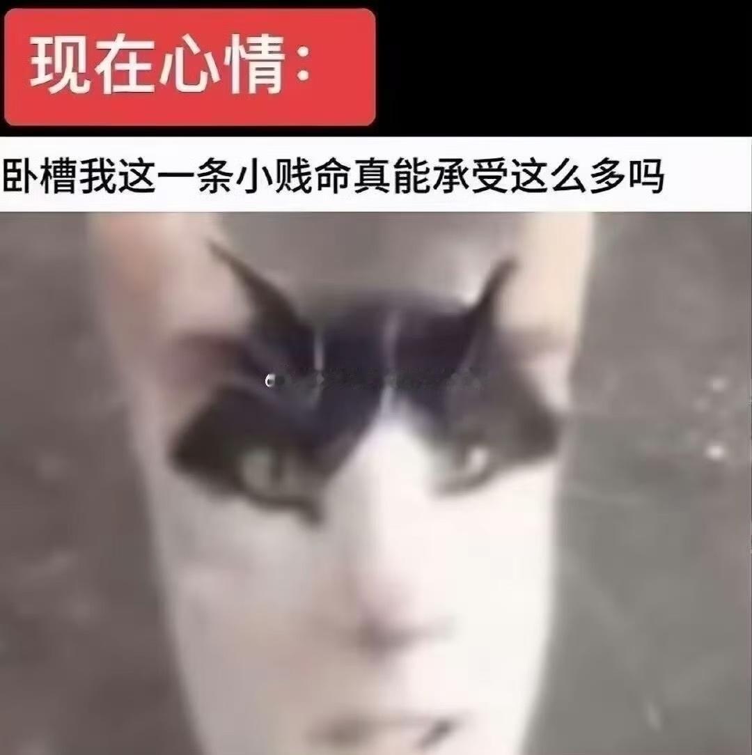 累死累活终于下班发现账不对还要倒贴钱。 