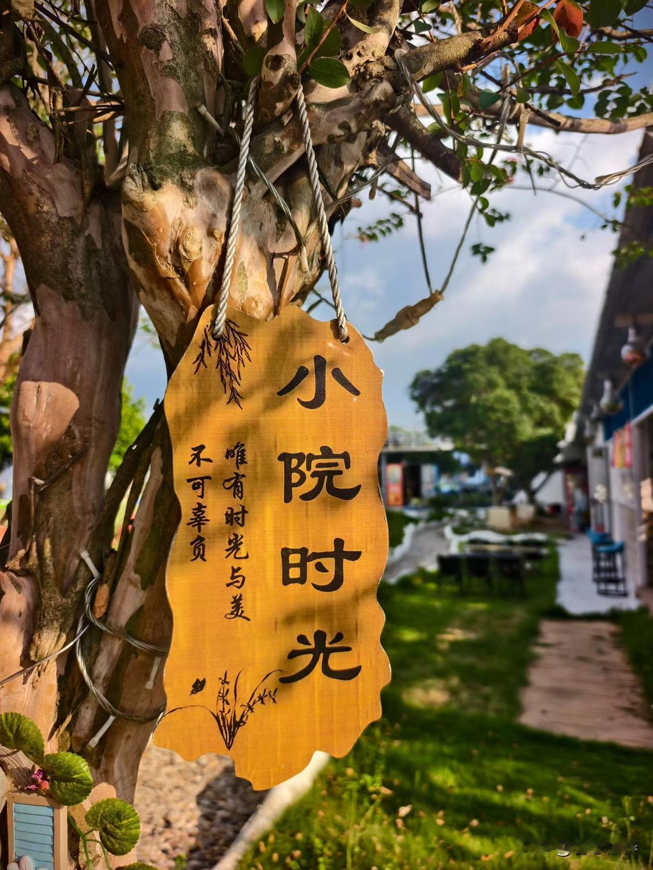 脂肪肝乱吃益生菌，大概率就是白花钱
 
不少体检查出脂肪肝的朋友，一听说益生菌对
