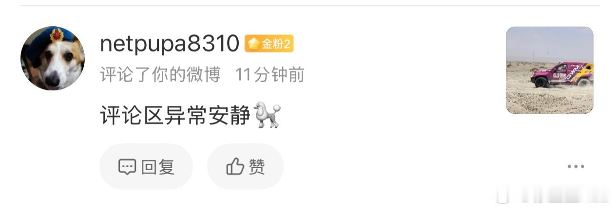 有人说我这条微博的评论区异常的安静。因为我平时的内容，每条都有黑粉在闹笑话。只要