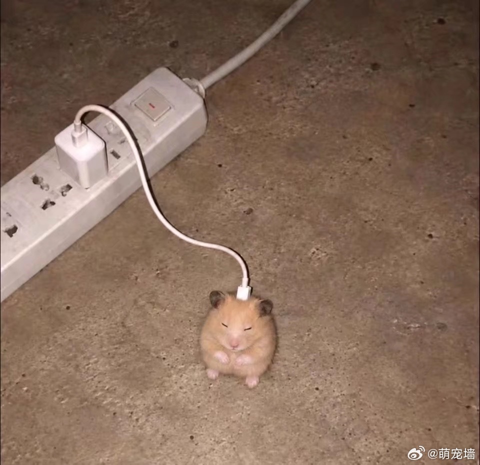 皮卡丘生成中 ​​​
