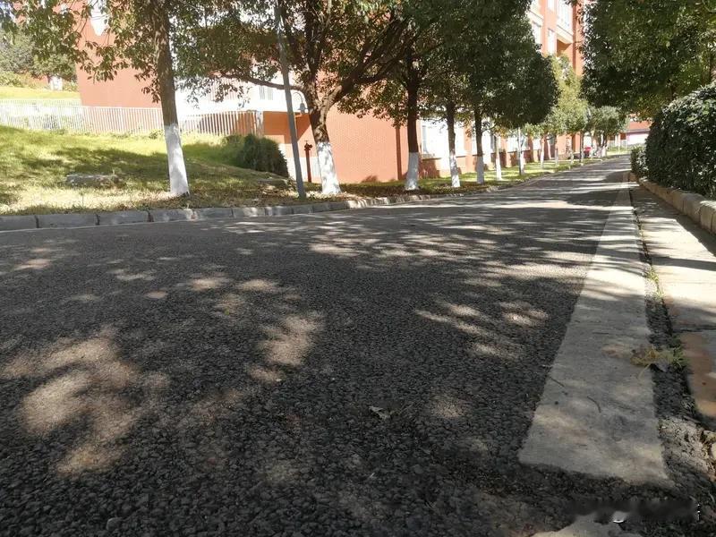 取消重点班这波利好，咱家娃妥妥赶上红利期！🌈
      大家站在同一起跑线，