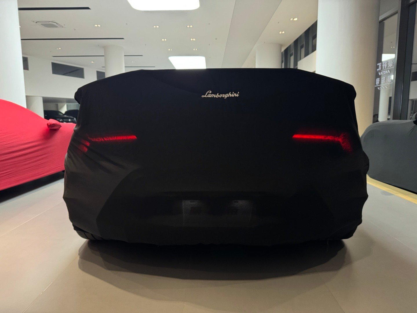 对比STO 我更爱她晚上遛一遛牛