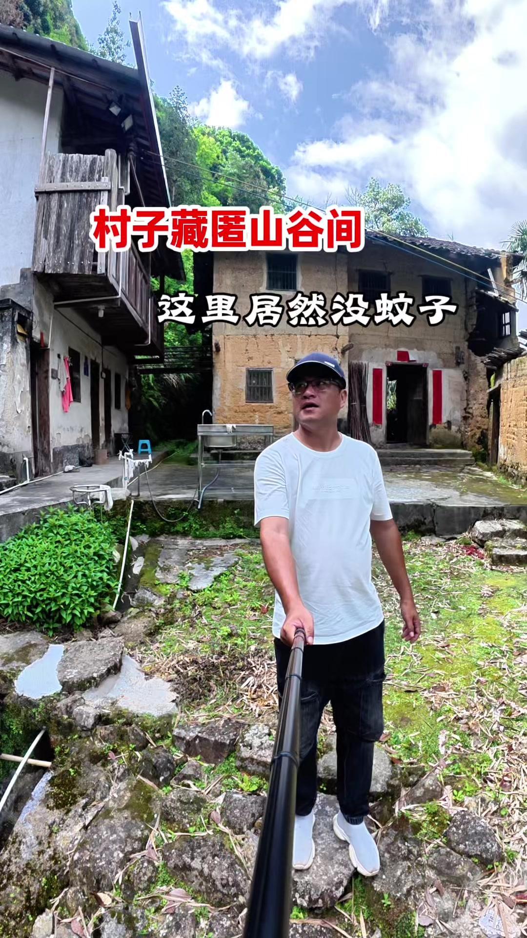 🌿梅州大山深处藏着个无蚊村落！自驾误入关肚里，这里太适合避暑了～

🚶‍♂️