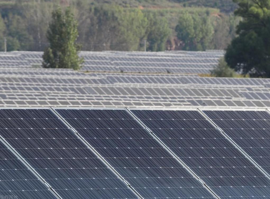 沙特不装了，直接表示要往中国投资，而且都是往中国领先世界的新能源投资。

博鳌论