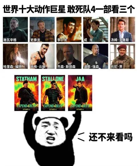 世界十大巨星盘点，李连杰竟然排不上号？[捂脸]

1、施瓦辛格，79岁，女友45