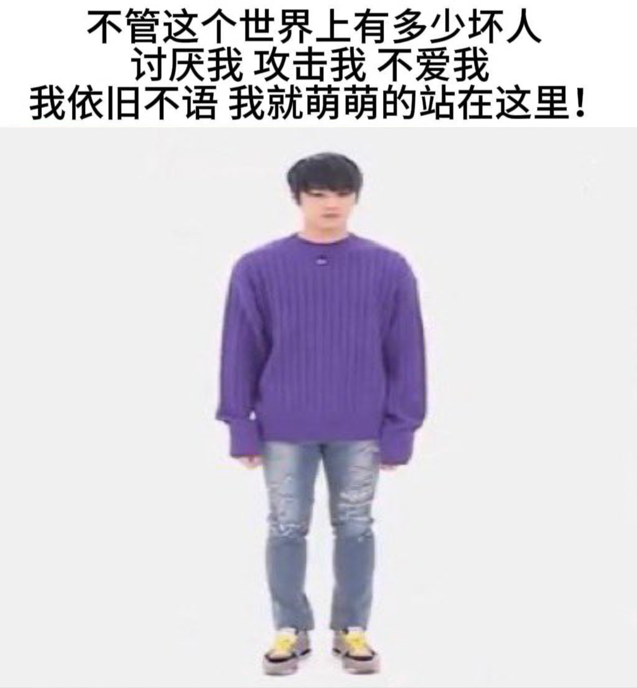 宝纸你继续好了 