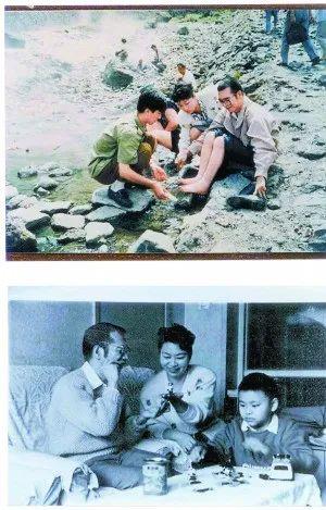 1980年，47岁的著名数学家陈景润迎娶29岁女军医，婚后生下儿子陈由伟，如今，