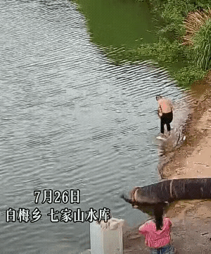 大爷不会游泳啊……