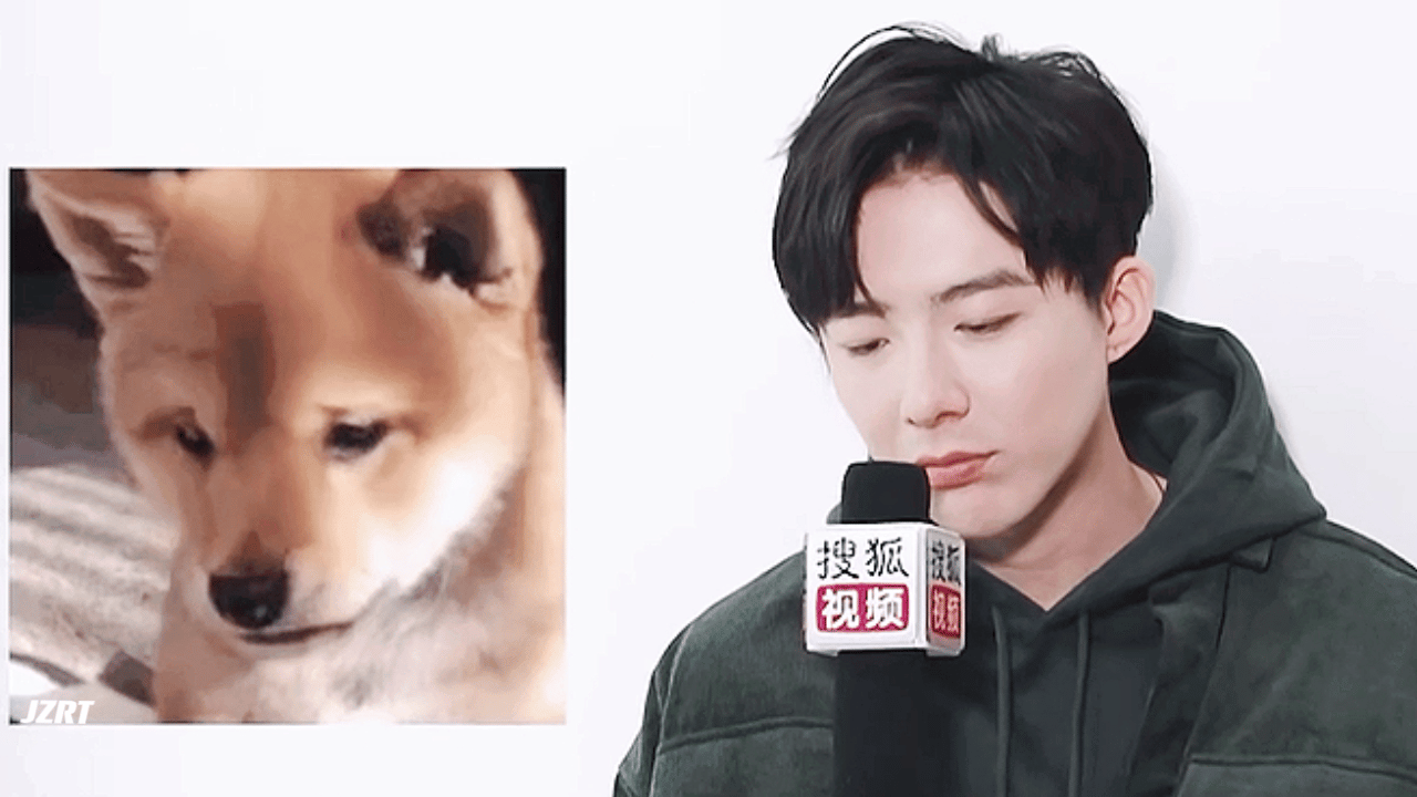 刘宇宁的2025巡演 🐾刘宇宁玫瑰丛生 🐾摩登兄弟 连神态都复刻了，这波撞脸