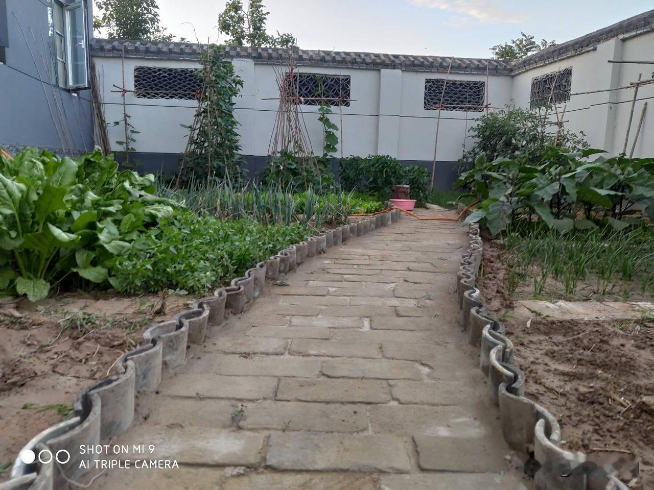 分享下小院照片自己的农家小院已经经历了六个春秋，根据需求和爱好也在不断的变化，院