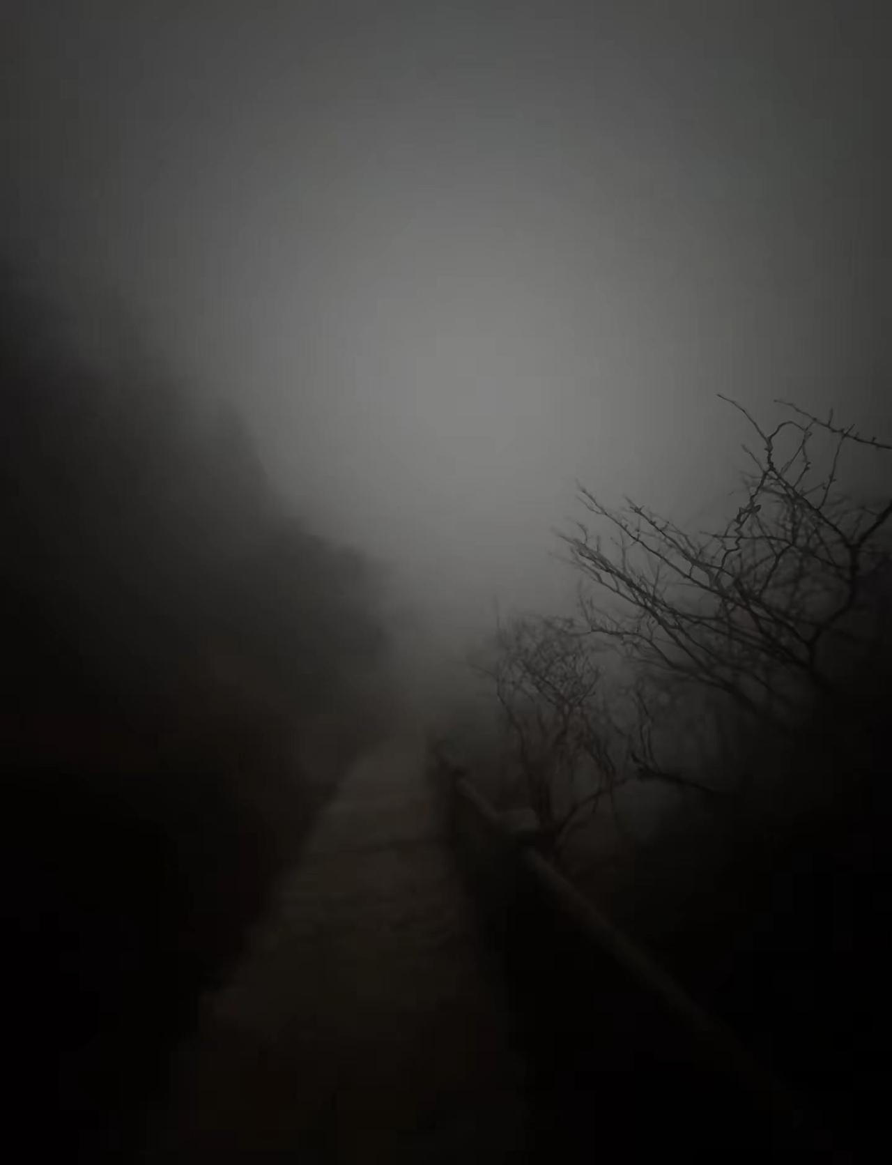 以后再爬黄山要趁早上爬，有雾要早点下山，看不到路，太难了黄山爬黄山准备