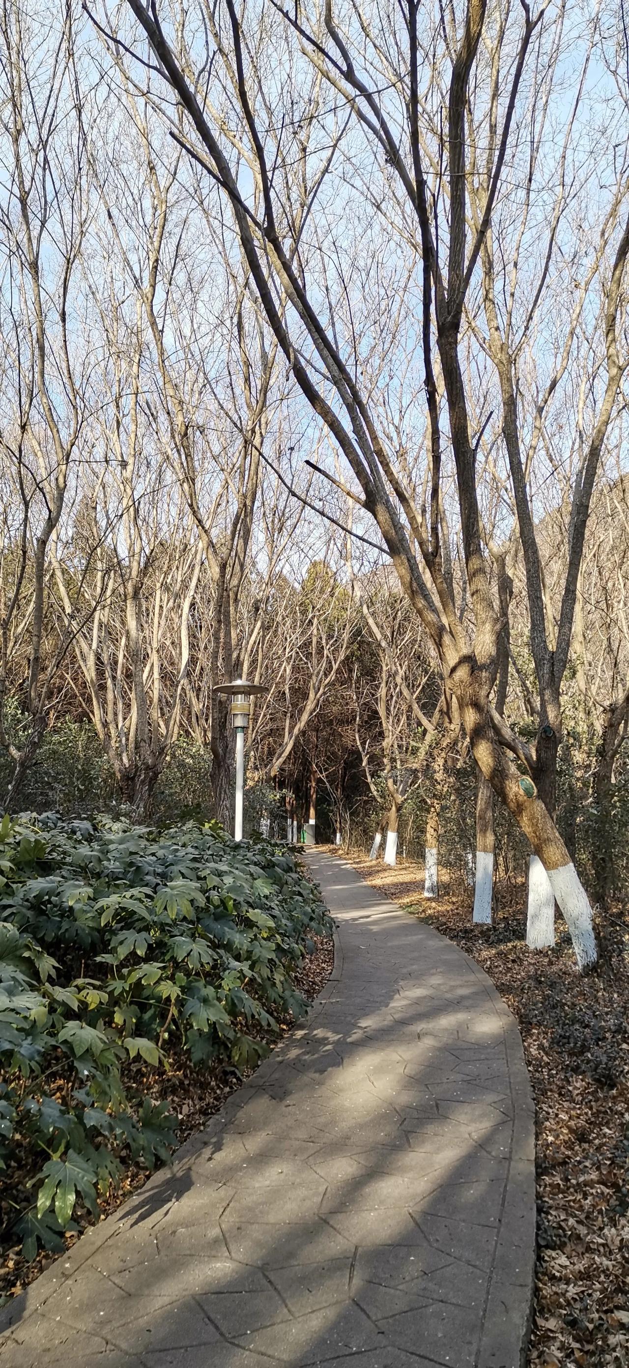 随手拍好图