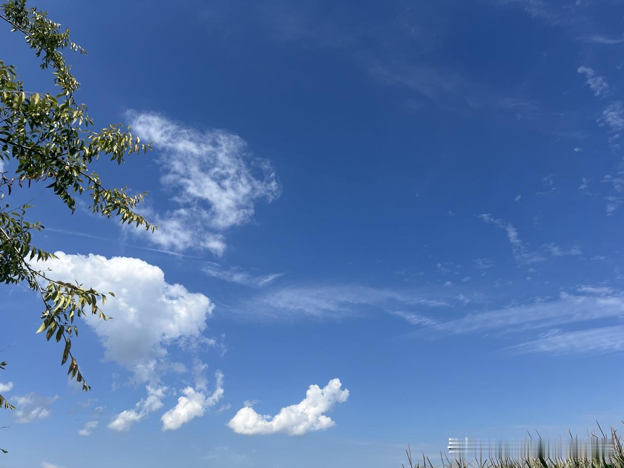 天空很奇特。这奇特来源于云。
云可以随心所欲，变换出各种丰富多彩的画面。如果再加