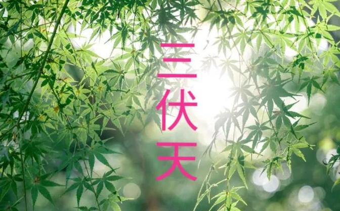 “入伏逢单池塘满，入伏逢双旱断河”，今年入伏在哪？

在中国农村，流传着不少听起