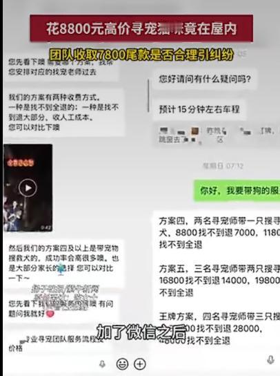 一位女士因为误以为自家猫咪走失，情急之下联系了一家专业寻宠团队，结果前后支付了八