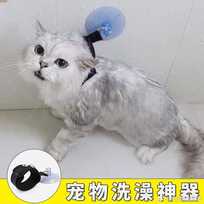 【】29235好铁蹄买了一副带吸盘可以固定在墙上的手铐，快递上门送货的时候刚好懒