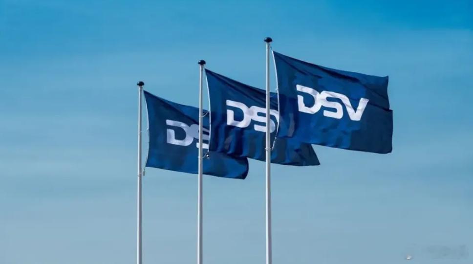 【DSV上半年营收同比增长41.9%，净利润同比下降17.5%】财报显示，202