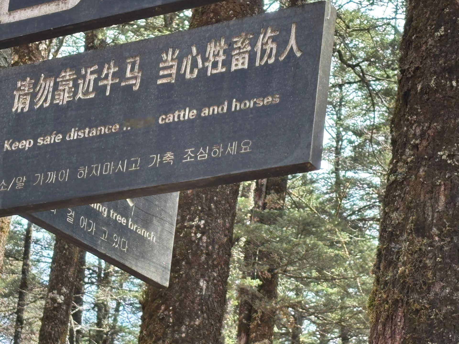我承认 是我敏感了 ​​​