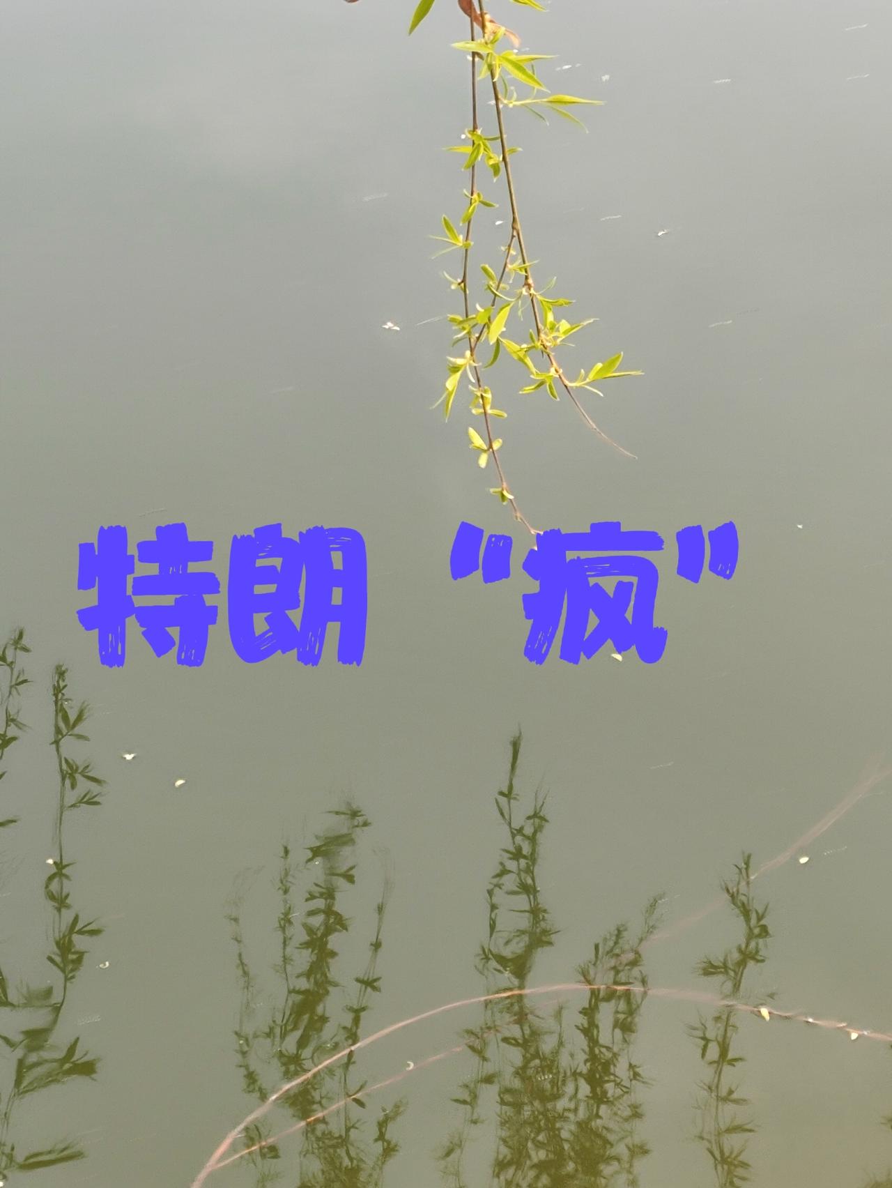 特朗普是“真疯”还是“装疯”
二次上任的特朗普，一上任就装神弄鬼，胡言乱语！
不